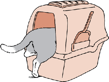 CAT_litterbox